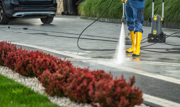 Boat and Dock Cleaning in Siesta Acres, TX